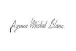 Annonce Assistant(e) De Direction H/f de Agence Michel Blanc - réf.211291870