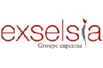 Annonce Assistant(e) Achats de Exselsia - réf.508041571