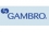 Recrutement GAMBRO