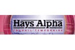Annonce Assistante Commerciale Export Bilingue de Hays Alpha - r&eacute;f.411151470