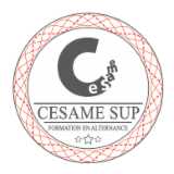 Annonce Assistant / Assistante De Manager de Cesame Sup - réf.23111612711